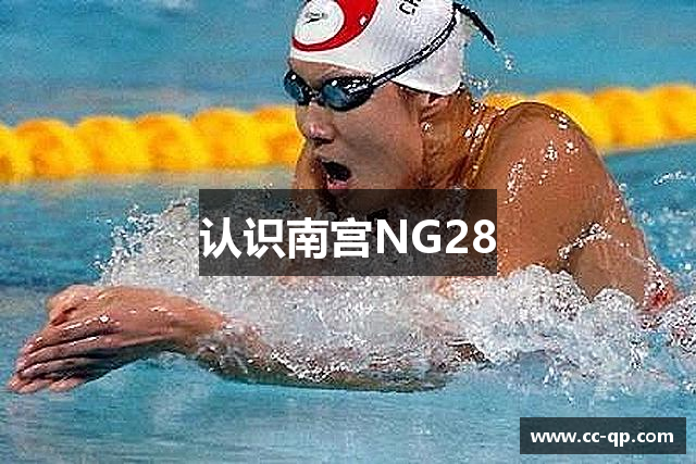 认识南宫NG28